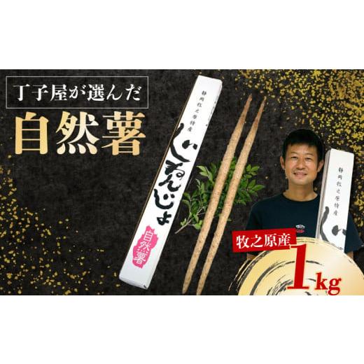 ふるさと納税 人参・大根・他根菜 静岡県 牧之原市  R7年12月上旬からの発送 　 自然薯 じねん...