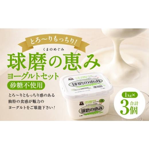 ふるさと納税 菓子 ヨーグルト 熊本県 あさぎり町 とろ〜り食感 球磨の恵みヨーグルト 砂糖不使用タ...