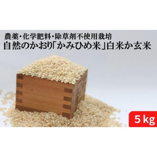 ふるさと納税 埼玉県 鳩山町 自然のかおり「かみひめ米」 白米5kg 白米