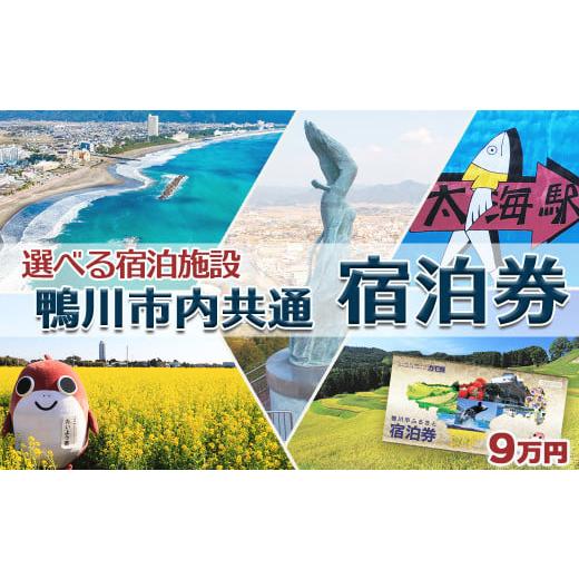 ふるさと納税 宿泊券 高級宿 千葉県 鴨川市  千葉県鴨川市 市内宿泊施設『共通宿泊券』９万円相当　...