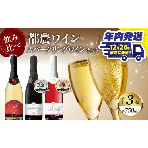 ふるさと納税 ワイン スパークリングワイン 宮崎県 都農町 ＼年内発送 ／スパークリングワイン飲み比...