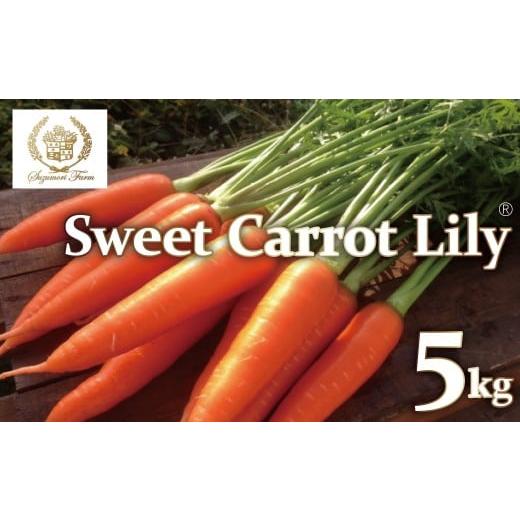 ふるさと納税 野菜類 人参 愛知県 碧南市 （3／15まで受付） 期間限定 鈴盛農園の甘〜いにんじん...