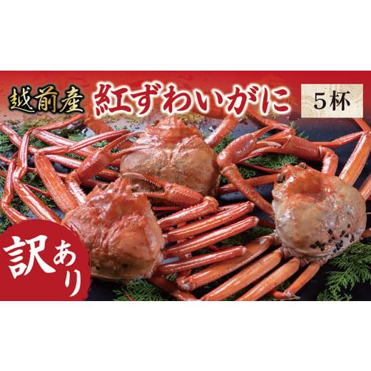 ふるさと納税 福井県 越前市 【冷蔵発送・訳あり】越前産　紅ずわいがに　5杯