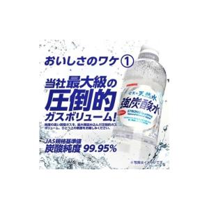 ふるさと納税 炭酸飲料 三重県 伊賀市 サンガ...の詳細画像3