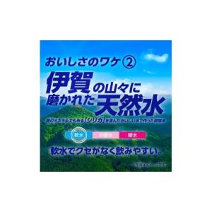 ふるさと納税 炭酸飲料 三重県 伊賀市 サンガ...の詳細画像4
