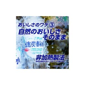 ふるさと納税 炭酸飲料 三重県 伊賀市 サンガ...の詳細画像5