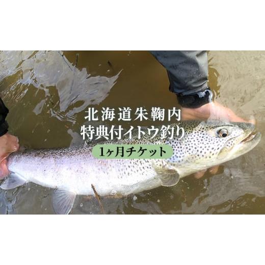 ふるさと納税 北海道 幌加内町 [No.5795-0131]北海道朱鞠内 特典付イトウ釣り1ヶ月チケ...