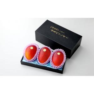 ふるさと納税 マンゴー 岐阜県 瑞穂市 先行予...の詳細画像1