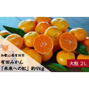 ふるさと納税 果物類 みかん 和歌山県 有田市  大粒・2L・LL 有田みかん「未来への虹」（約9kg）(A240-2)｜ふるさとチョイス