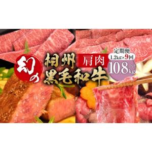 ふるさと納税 牛肉 神奈川県 小田原市 牛肉 定...の商品画像