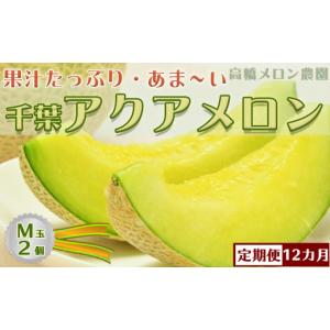 ふるさと納税 メロン メロン青肉 千葉県 鴨川...の詳細画像1