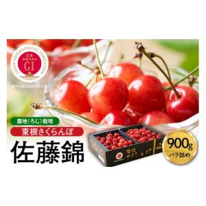 ふるさと納税 山形県 東根市 GI「東根さくらんぼ」 2024年産
