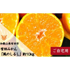 ふるさと納税 果物類 みかん 和歌山県 有田市...の詳細画像1