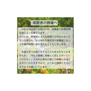 ふるさと納税 果物類 みかん 和歌山県 有田市...の詳細画像5