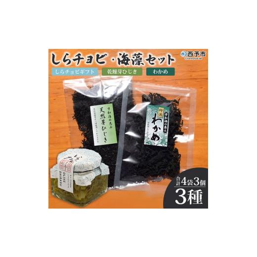 ふるさと納税 愛媛県 西予市 今市水産　しらチョビ海藻セット