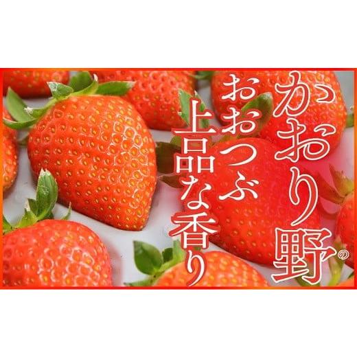 ふるさと納税 兵庫県 朝来市 大粒で甘い！坪井農園のこだわりいちご（かおり野）１箱