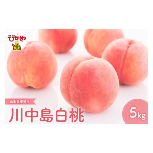 ふるさと納税 もも 山形県 東根市  2026年産 先行予約 2026年もも「川中島白桃」5kg J...