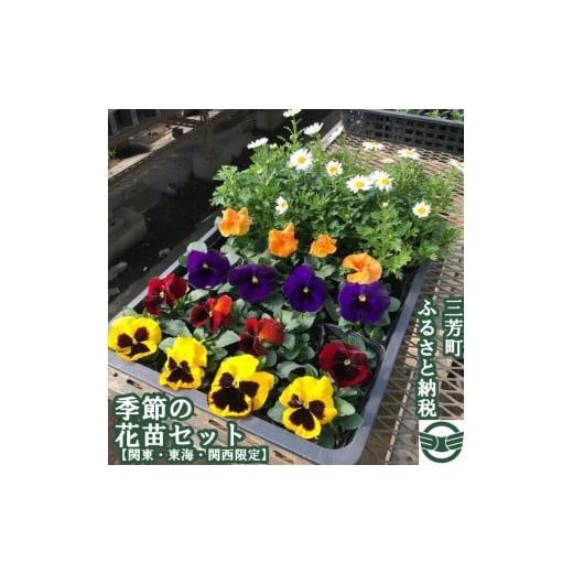 ふるさと納税 埼玉県 三芳町 季節の花苗セット【配送エリア限定】