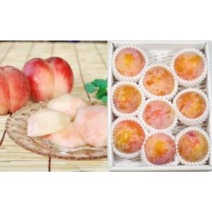 ふるさと納税 果物の詰合せ 山形県 天童市 08-02-011　プラム(秋姫1.2kg)&amp;白桃系桃2...