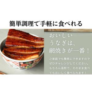 ふるさと納税 うなぎ 和歌山県 有田市 国産う...の詳細画像3