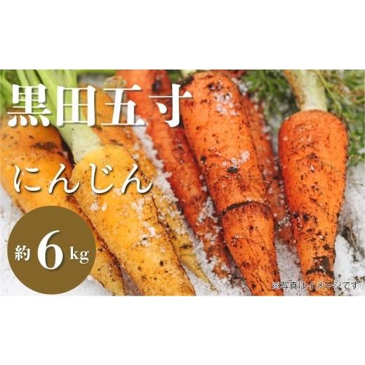 ふるさと納税 野菜類 人参 岐阜県 飛騨市 有機ニンジン 6kg 人参 にんじん 有機野菜 在来品種...