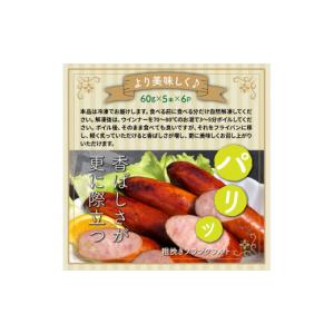ふるさと納税 肉 ソーセージ 大分県 国東市 ...の詳細画像4