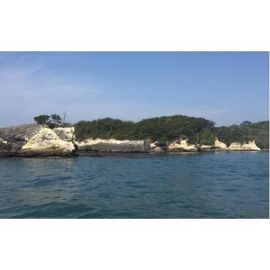 ふるさと納税 体験チケット 宮城県 塩竈市 浦...の詳細画像4