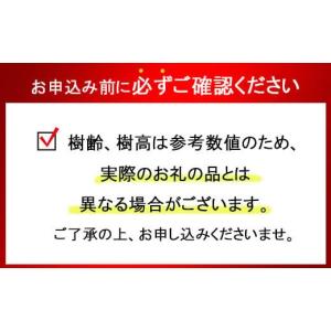 ふるさと納税 花・苗木 盆栽 埼玉県 さいたま...の詳細画像3