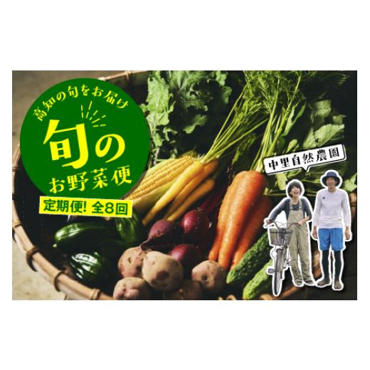 ふるさと納税 高知県 中土佐町 【定期便！全８回】高知の旬をお届け「中里自然農園・旬のお野菜便」