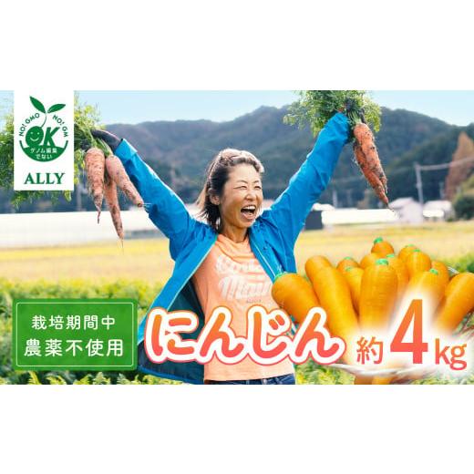ふるさと納税 野菜類 人参 徳島県 海陽町 日本を平和にする人参 Peace&amp;Carrots 約４k...