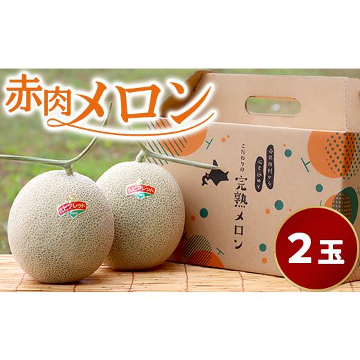 ふるさと納税 メロン メロン赤肉 北海道 赤井川村 （ルピアレッド） ２玉入 やなぎさわ農園の甘い赤...