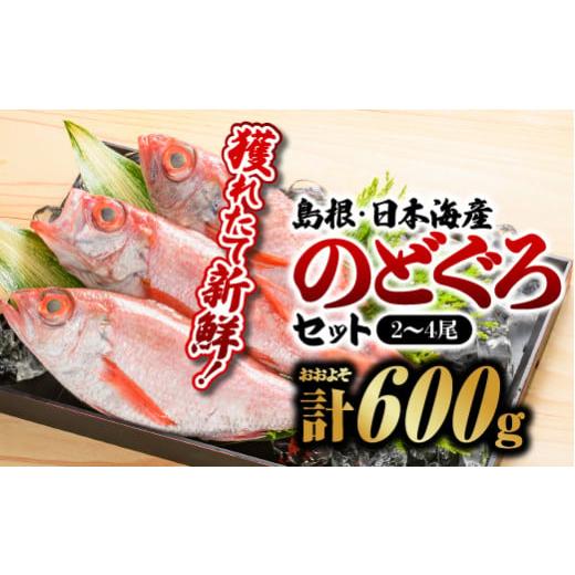 ふるさと納税 島根県 江津市 鮮魚セットD YM-4 のどぐろ2〜4尾 計約600g 島根 山陰 日...