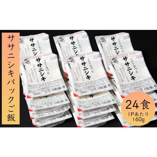 ふるさと納税 宮城県 大崎市 (02108)ササニシキパックご飯(24食)