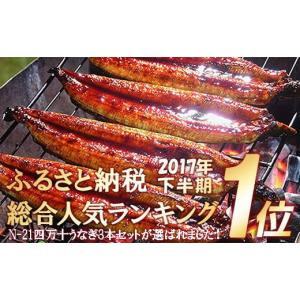 ふるさと納税 高知県 四万十町 うなぎ 蒲焼き セット 2...