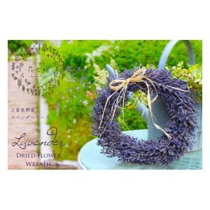 ふるさと納税 雑貨・日用品 花 北海道 上富良野...の商品画像