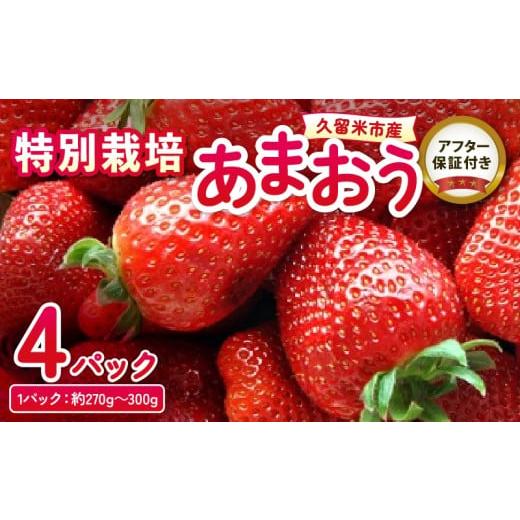 ふるさと納税 いちご 福岡県 久留米市 特別栽培あまおう 4パック ふくおかエコ農産物_いちご あま...