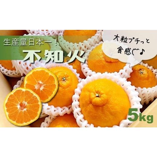 ふるさと納税 みかん・柑橘類 デコポン 熊本県 玉名市 不知火 熊本玉名産 5kg 水本オレンジガー...