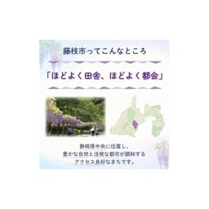 ふるさと納税 家具 静岡県 藤枝市 サイドテー...の詳細画像4