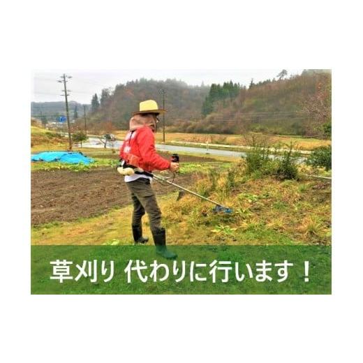 ふるさと納税 岩手県 一関市 空家や空き地の草刈　100坪程度