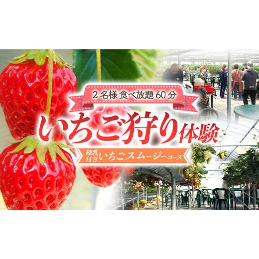 ふるさと納税 群馬県 渋川市 いちご狩り体験2名様 食べ放題1時間 練乳付き いちごスムージーコース...