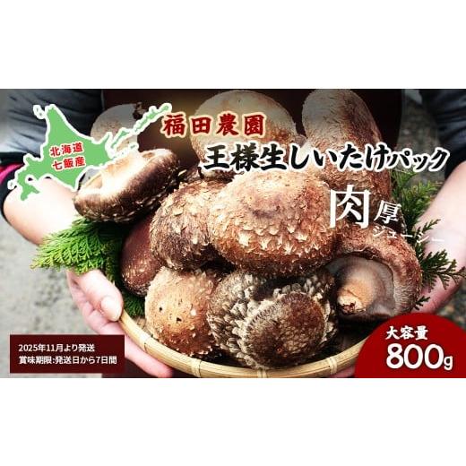 ふるさと納税 野菜類 きのこ 北海道 七飯町  2025年11月より発送 王様生しいたけパック 大容...