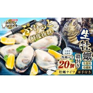 ふるさと納税 兵庫県 赤穂市 牡蠣 生食 坂越かき 殻付き