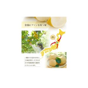 ふるさと納税 梨 山形県 酒田市 酒田の美味し...の詳細画像3