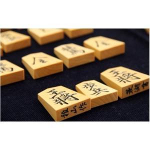 ふるさと納税 伝統技術 山形県 天童市 08-2...の商品画像