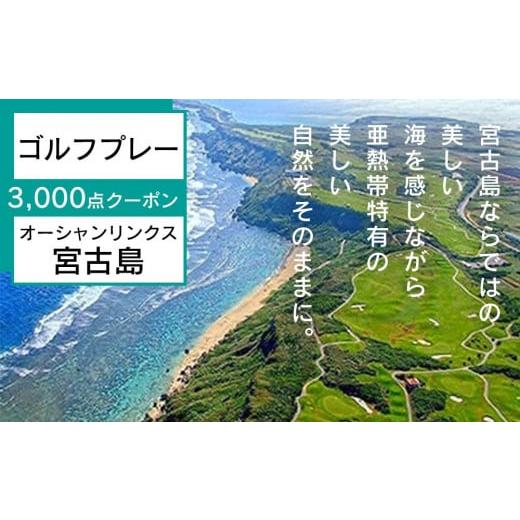 ふるさと納税 沖縄県 宮古島市 オーシャンリンクス宮古島　プレー3,000点クーポン