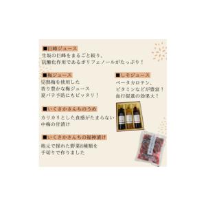 ふるさと納税 梅干・漬物・キムチ 長野県 生坂...の詳細画像2