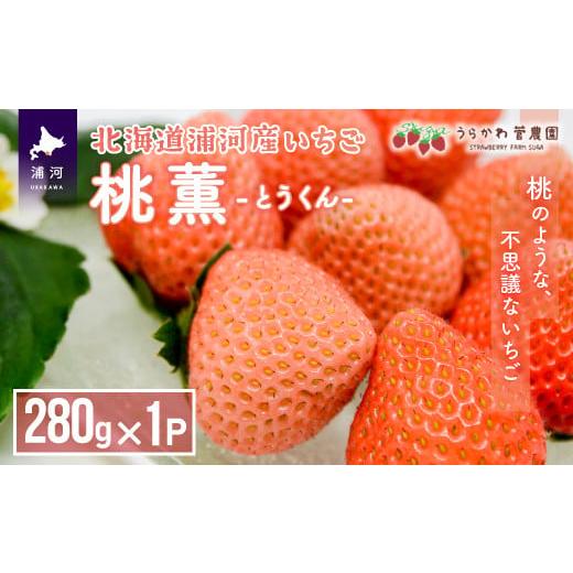 ふるさと納税 北海道 浦河町 【今が旬！】北海道浦河産いちご「桃薫」280g×1P[13-279]