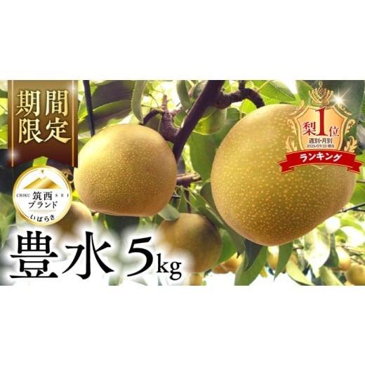 ふるさと納税 梨 茨城県 筑西市 ランキング1位獲得 JA 北つくば 筑西ブランド 認証品 豊水 5...