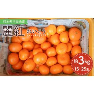 ふるさと納税 果物類 みかん 熊本県 宇城市 ...の詳細画像1