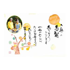 ふるさと納税 果物類 みかん 熊本県 宇城市 ...の詳細画像5